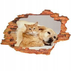 Naklejka na ścianę 3D Pies i Kot rudy kotek w przyjacielskim uścisku psa 90 cm na 60 cm