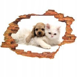 Naklejka na ścianę 3D Pies i Kot biały kocurek z brązowym kundelkiem 90 cm na 60 cm