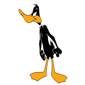 Naklejka na ścianę Kaczor Daffy zdenerwowany czeka na kogoś 60 cm na 90 cm