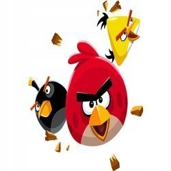 Naklejka na ścianę Angry Birds czyli Czerwony Bomba i Chuck 90 cm na 60 cm