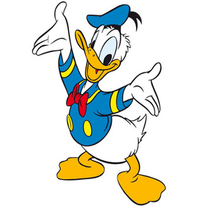 Naklejka na ścianę Kaczor Donald rozkłada ręce 90 cm na 60 cm