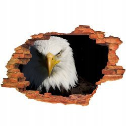 Naklejka na ścianę 3D Orzeł przenikliwie patrzący 90 cm na 60 cm