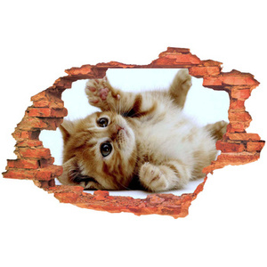 Naklejka na ścianę 3D Kot figlujący kociaczek 90 cm na 60 cm