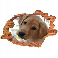 Naklejka na ścianę 3D Pies śliczna mordka pieska 90 cm na 60 cm