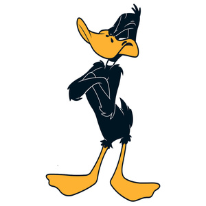 Naklejka na ścianę Kaczor Daffy wyczuwa podstęp 60 cm na 90 cm