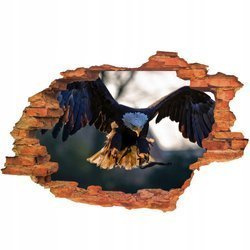 Naklejka na ścianę 3D Orzeł w locie 90 cm na 60 cm