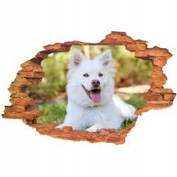 Naklejka na ścianę 3D Pies biały pies z bordowym nosem 90 cm na 60 cm