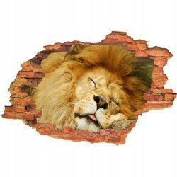 Naklejka na ścianę 3D Lew śpiący 90 cm na 60 cm