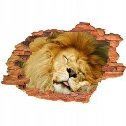 Naklejka na ścianę 3D Lew śpiący 90 cm na 60 cm