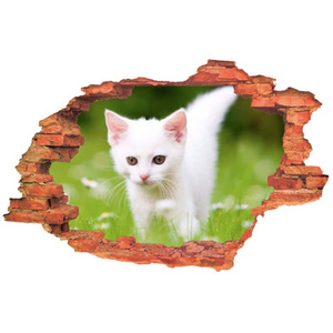 Naklejka na ścianę 3D Kot biały mały kotek na zielonej trawce 90 cm na 60 cm