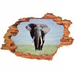 Naklejka na ścianę 3D Słoń wybiegający z wody 90 cm na 60 cm