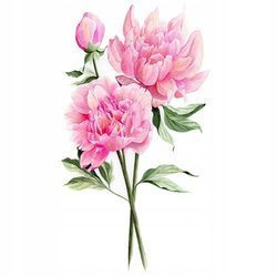 Naklejka na ścianę Kwiaty Piwonie dwie gałązki różowych peonii 90 cm na 60 cm