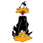 Naklejka na ścianę Kaczor Daffy zdziwiony 60 cm na 90 cm