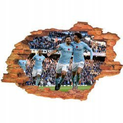 Naklejka na ścianę 3D Manchester City celebrowanie bramki