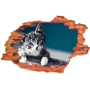 Naklejka na ścianę 3D Kot miły mruczuś nocną porą 90 cm na 60 cm