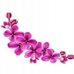 Naklejka na ścianę Kwiaty Piwonie fioletowa gałązka storczyka 90 cm na 60 cm