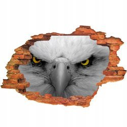 Naklejka na ścianę 3D Orzeł przenikliwie patrzący 90 cm na 60 cm