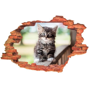 Naklejka na ścianę 3D Kot kotek z bladoniebieskimi oczkami 90 cm na 60 cm