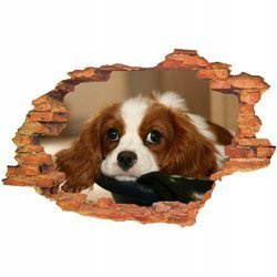 Naklejka na ścianę 3D Pies psinka leżąca na kanapie 90 cm na 60 cm