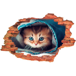 Naklejka na ścianę 3D Kot kotek w domku 90 cm na 60 cm