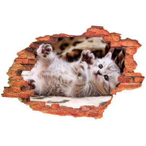 Naklejka na ścianę 3D Kot słodziak kotek leżący na grzbiecie 90 cm na 60 cm