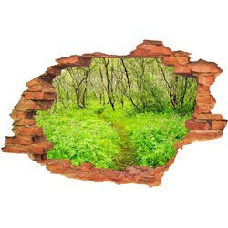 Naklejka na ścianę 3D Las wydeptana dróżka w lesie 90 cm na 60 cm