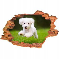 Naklejka na ścianę 3D Pies charels spaniel hasający na łące 90 cm na 60 cm