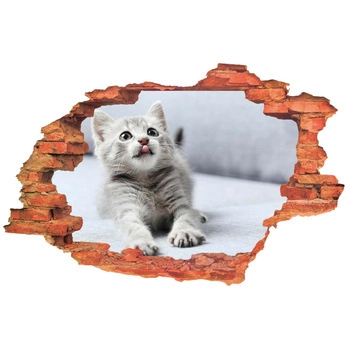 Naklejka na ścianę 3D Kot szara kicia 90 cm na 60 cm