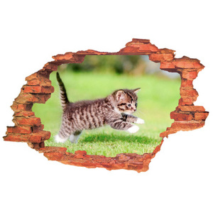 Naklejka na ścianę 3D Kot kocurek hasający po łączce 90 cm na 60 cm