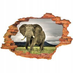 Naklejka na ścianę 3D Słoń z boku 90 cm na 60 cm