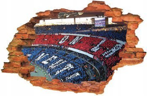 Naklejka na ścianę 3D PSG stadion