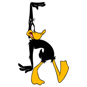 Naklejka na ścianę Kaczor Daffy gimnastyka 60 cm na 90 cm