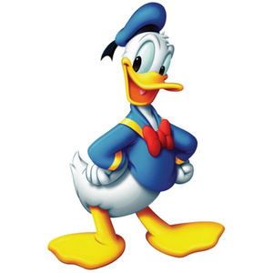 Naklejka na ścianę Kaczor Donald niebieska czapka 90 cm na 60 cm