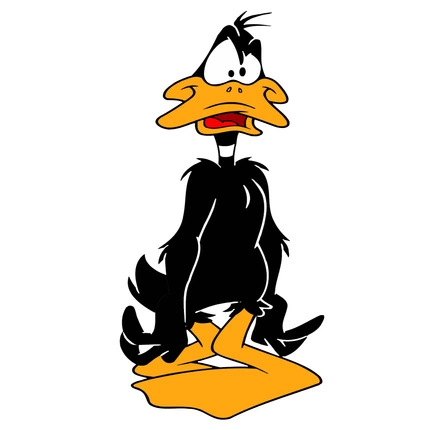 Naklejka na ścianę Kaczor Daffy zdziwiony 60 cm na 90 cm
