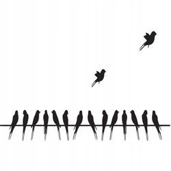 Naklejka na ścianę Ptaki na linie 75 cm na 45 cm