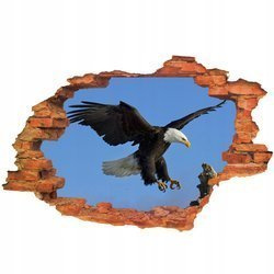 Naklejka na ścianę 3D Orzeł  koloru czarnego z białą głową 90 cm na 60 cm
