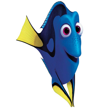 Naklejka na ścianę Gdzie jest Nemo Dory 90 cm na 60 cm