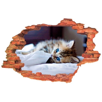 Naklejka na ścianę 3D Kot kotek z przenikliwie chabrowymi ślepkami 90 cm na 60 cm