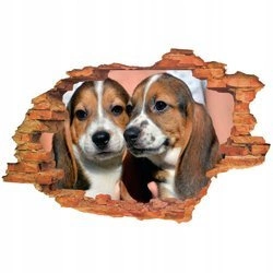 Naklejka na ścianę 3D Pies basset dwa piękne psy 90 cm na 60 cm