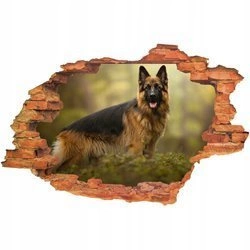 Naklejka na ścianę 3D Pies długowłosy owczarek niemiecki 90 cm na 60 cm