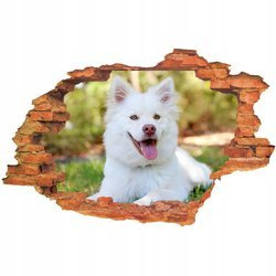 Naklejka na ścianę 3D Pies biały pies z bordowym nosem 90 cm na 60 cm